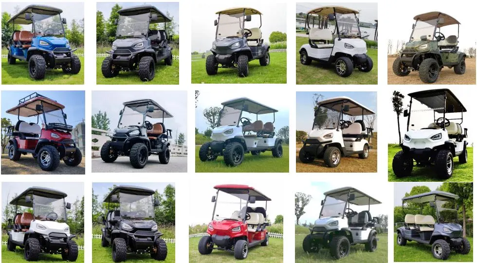 Custom-Built 2+2 Seats Golf Cart From China Supplier