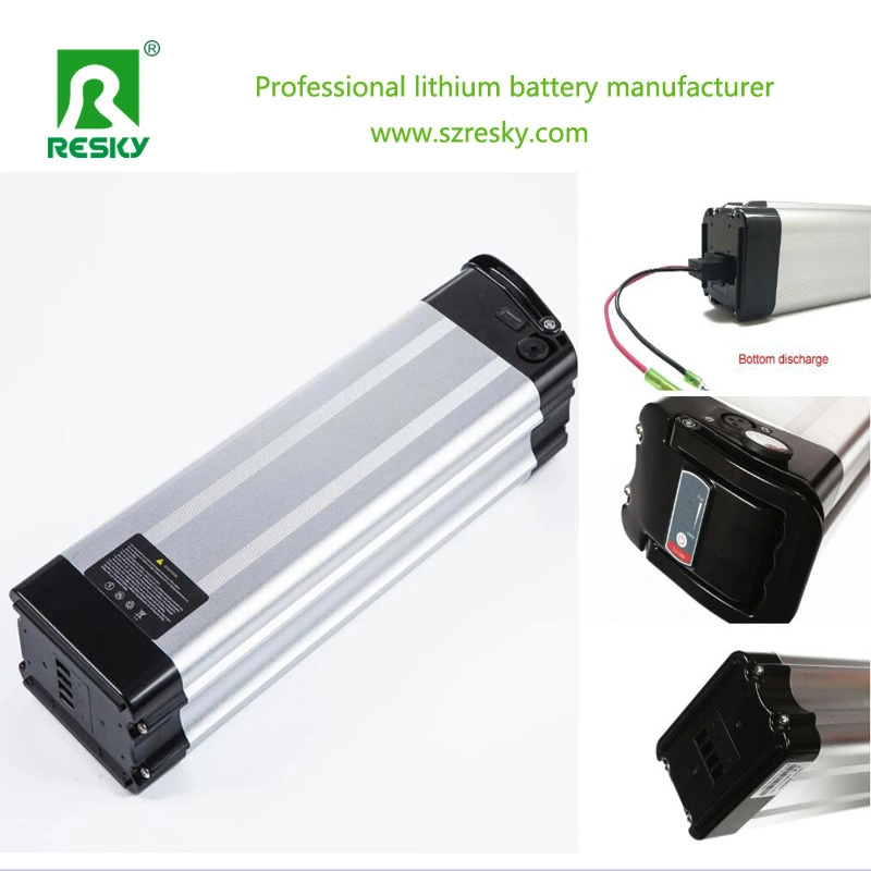 Rechargeable Lithium 10ah 36V E-Bike Battery with BMS