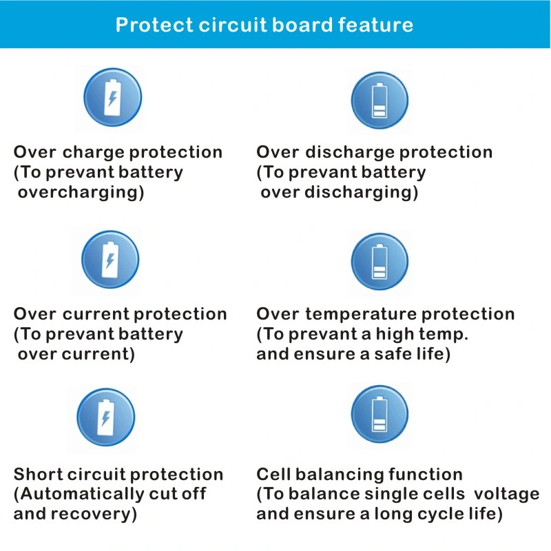 4s 5s 6s 6A Lithium LiFePO4 Battery BMS with Seiko Chip