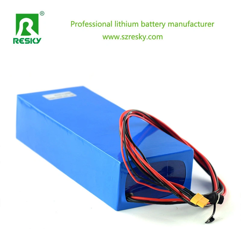 Electric Bicycle 36V 16ah Li-ion Battery with BMS Charger