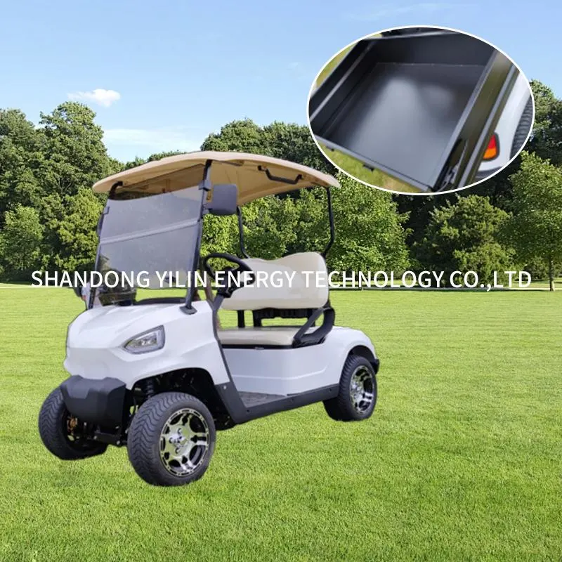 LG2020kh 2 Seaters 4 Wheel Lithium Electric Club Car Golf Cart Electrical Power Steering