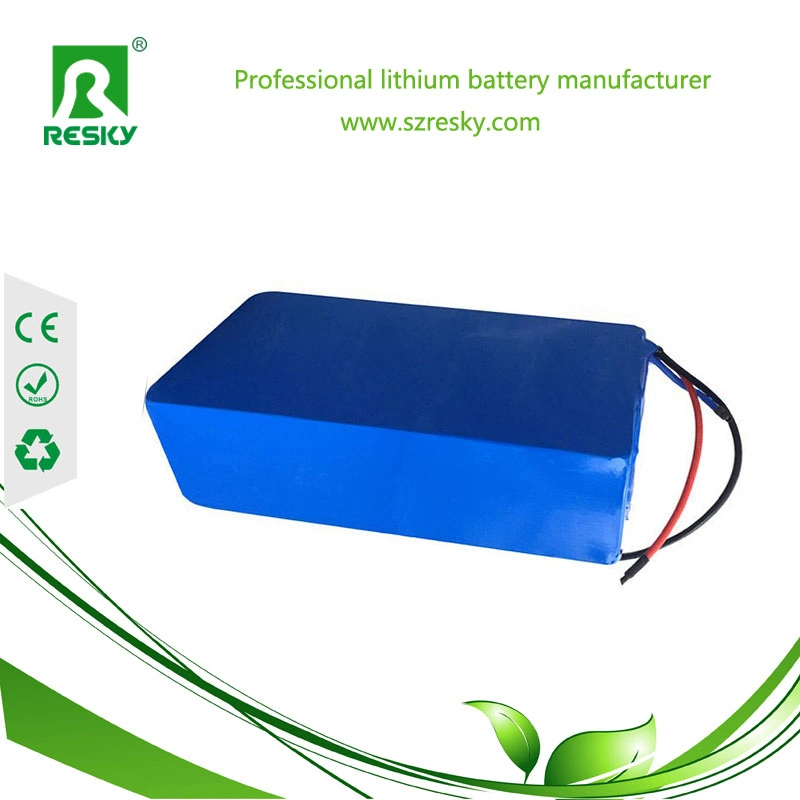 48V 30ah Lithium Battery Pack with BMS and 5A Charger