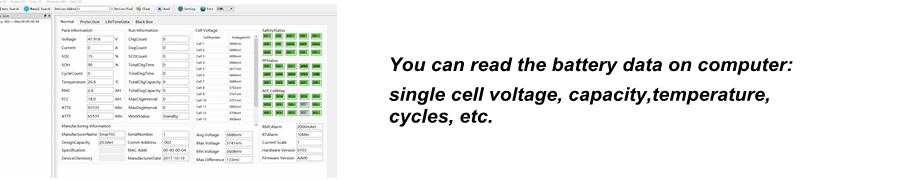 Manufacturer Supply BMS 16s 48V 100A Battery Management System for Solar Storage/E-Bike/UPS Battery for LiFePO4 Battery Pack