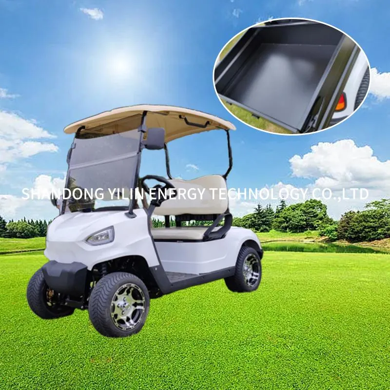 LG2020kh 2 Seaters 4 Wheel Lithium Electric Club Car Golf Cart Electrical Power Steering