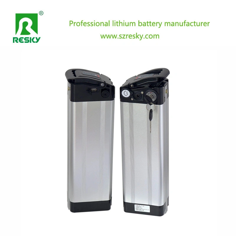 Rechargeable Lithium 10ah 36V E-Bike Battery with BMS