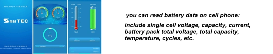 Manufacturer Supply BMS 16s 48V 100A Battery Management System for Solar Storage/E-Bike/UPS Battery for LiFePO4 Battery Pack