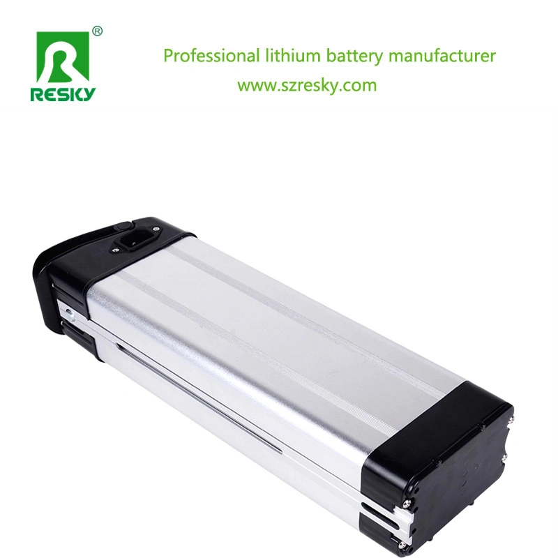 Rechargeable Lithium 10ah 36V E-Bike Battery with BMS