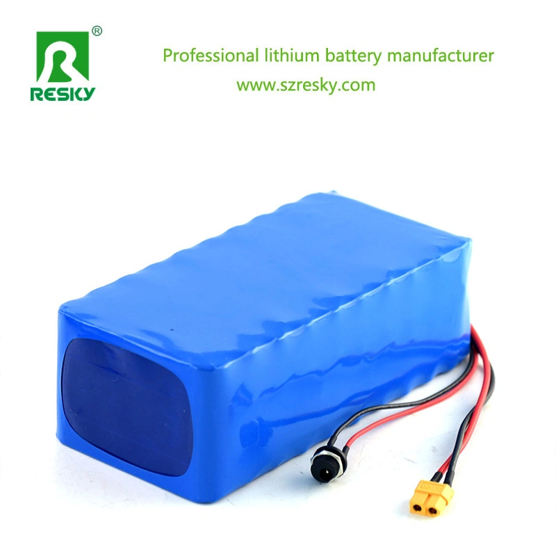 Electric Bicycle 36V 16ah Li-ion Battery with BMS Charger