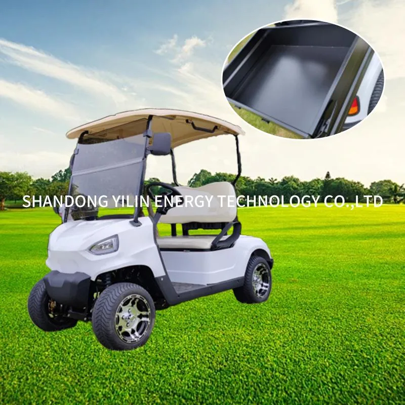 LG2020kh 2 Seaters 4 Wheel Lithium Electric Club Car Golf Cart Electrical Power Steering