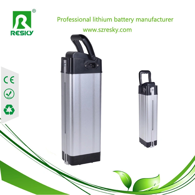 Rechargeable Lithium 10ah 36V E-Bike Battery with BMS