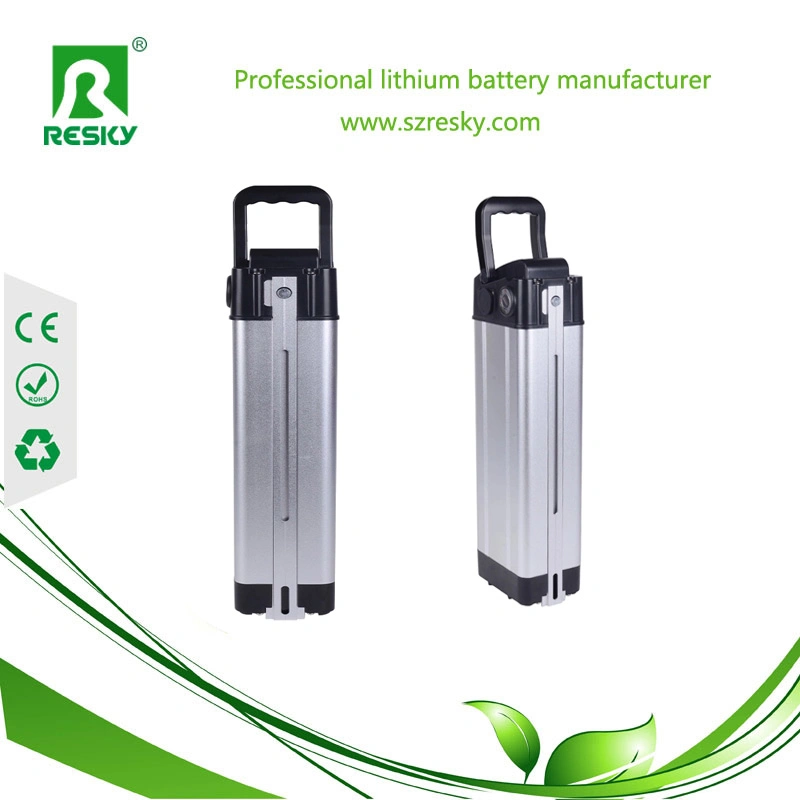 Rechargeable Lithium 10ah 36V E-Bike Battery with BMS