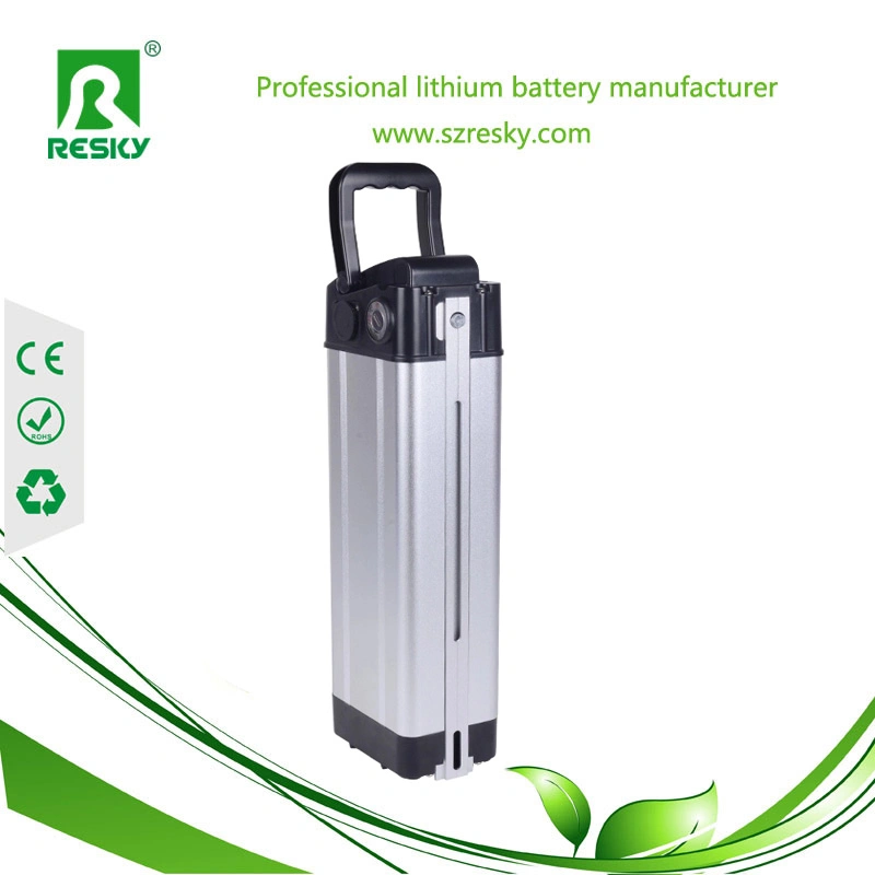 Electric Bicycle 36V 16ah Li-ion Battery with BMS Charger