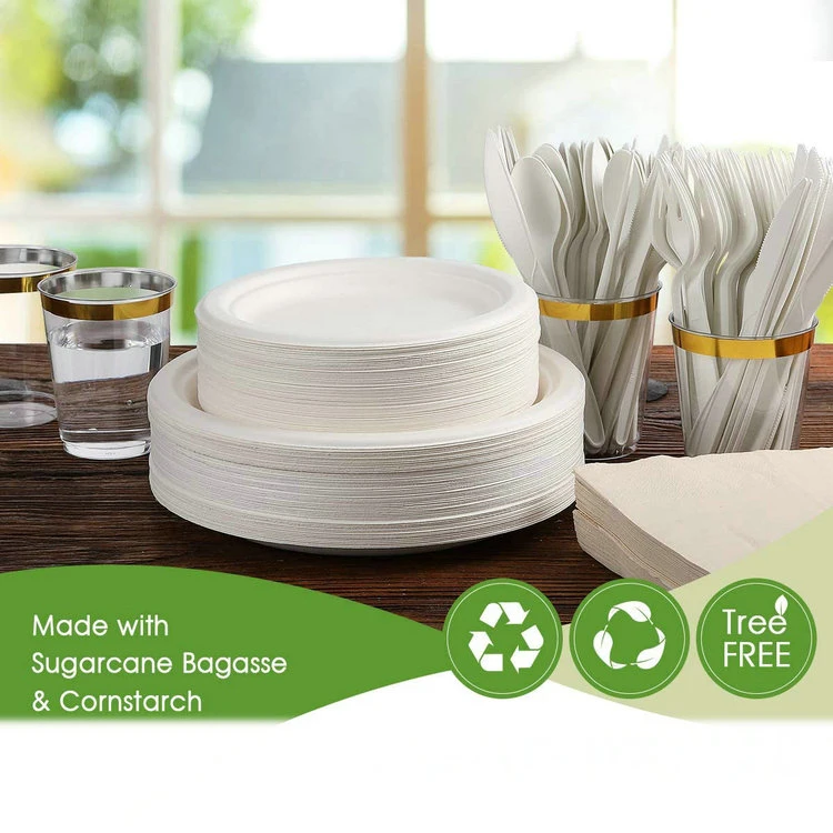 Daily Dinner Supplies Pure White Eco BPA Free Sugarcane Bagasse