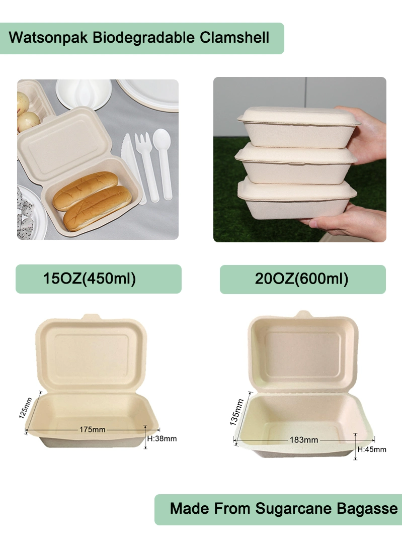 Sugarcane Pulp Molding 100% Biodegradable Paper Pulp Wheat Straw Hamburger Box