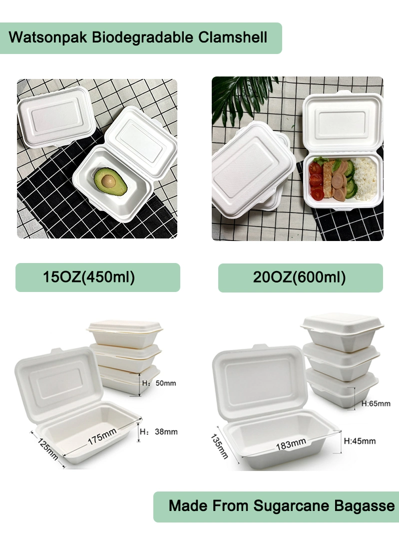 Sugarcane Pulp Molding 100% Biodegradable Paper Pulp Wheat Straw Hamburger Box