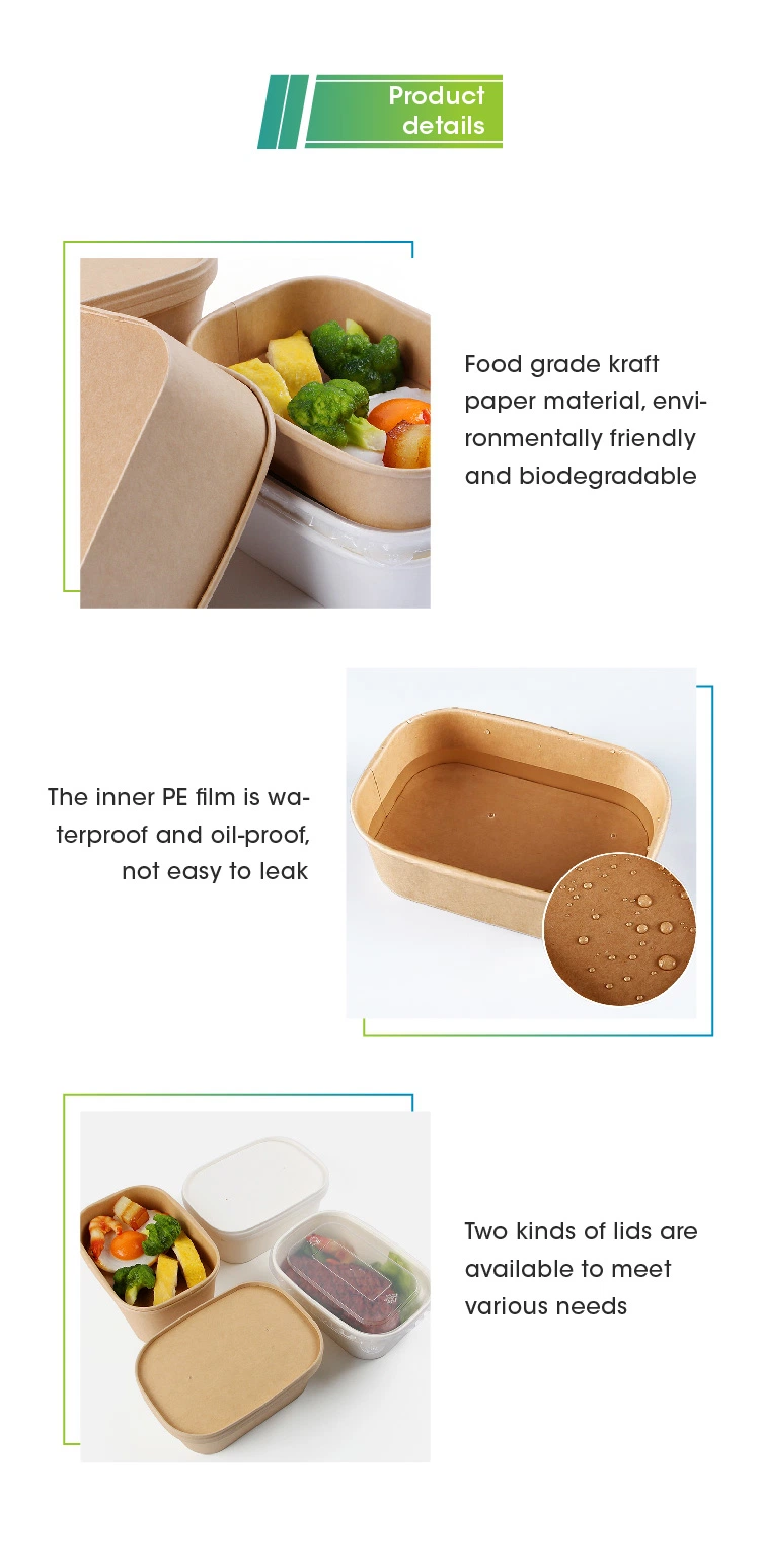 Hot Cold Food Biodegradable Brown Kraft Paper Lunch Box with Lid Disposable Takeaway Container for Fast Food