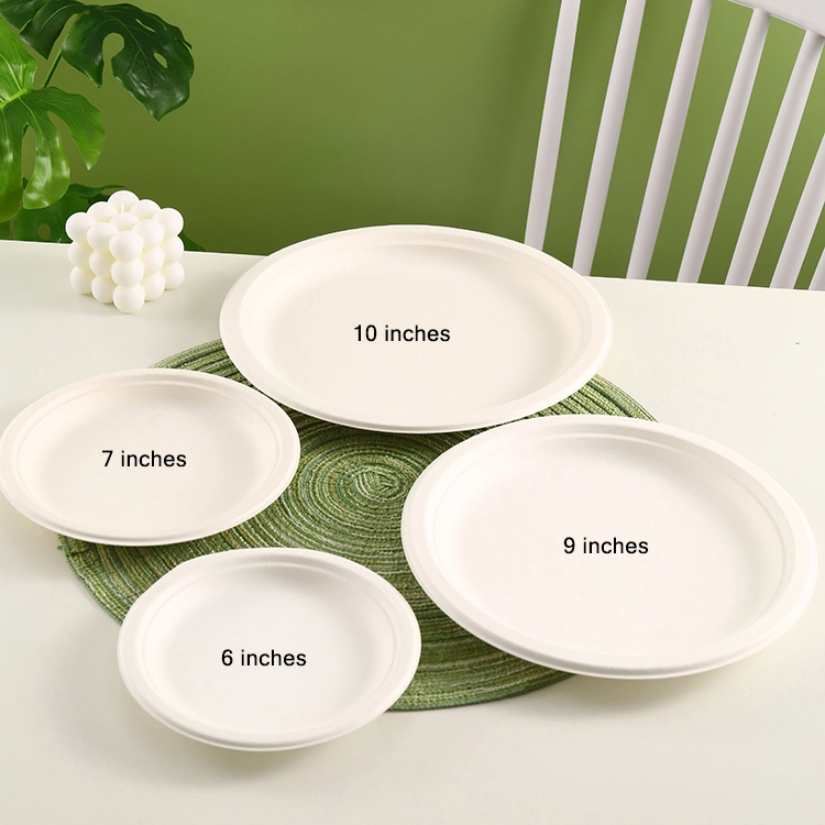 Custom Food Plates Sugarcane Pulp Biodegradable Bagasse Plate