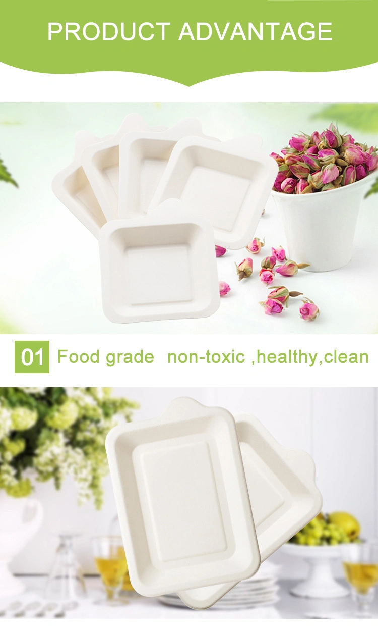 Daily Dinner Supplies Pure White Eco BPA Free Sugarcane Bagasse