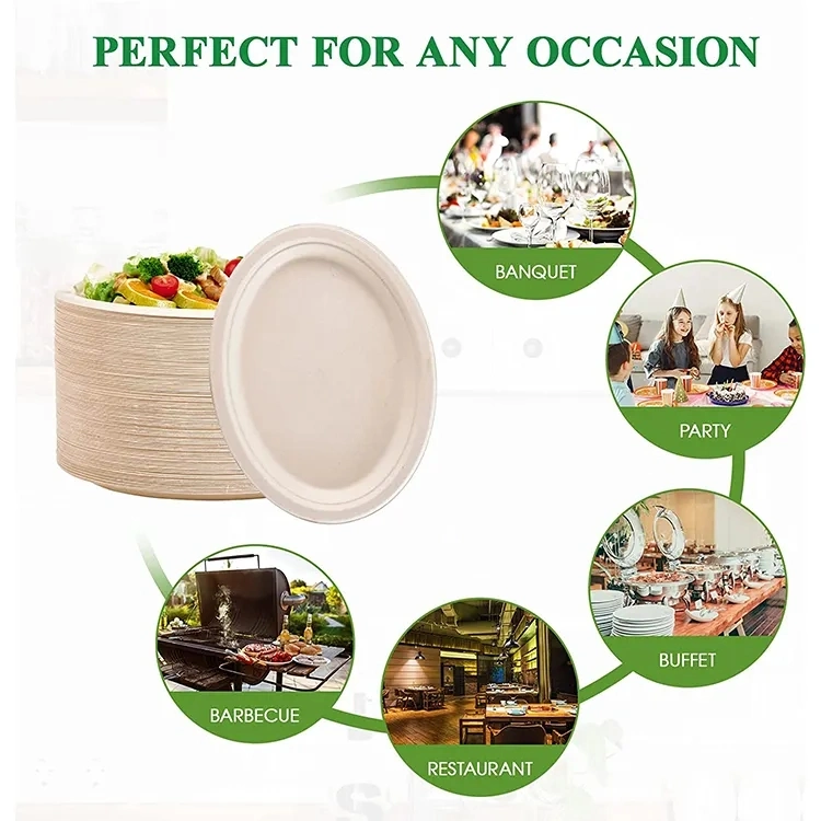 Custom Food Plates Sugarcane Pulp Biodegradable Bagasse Plate