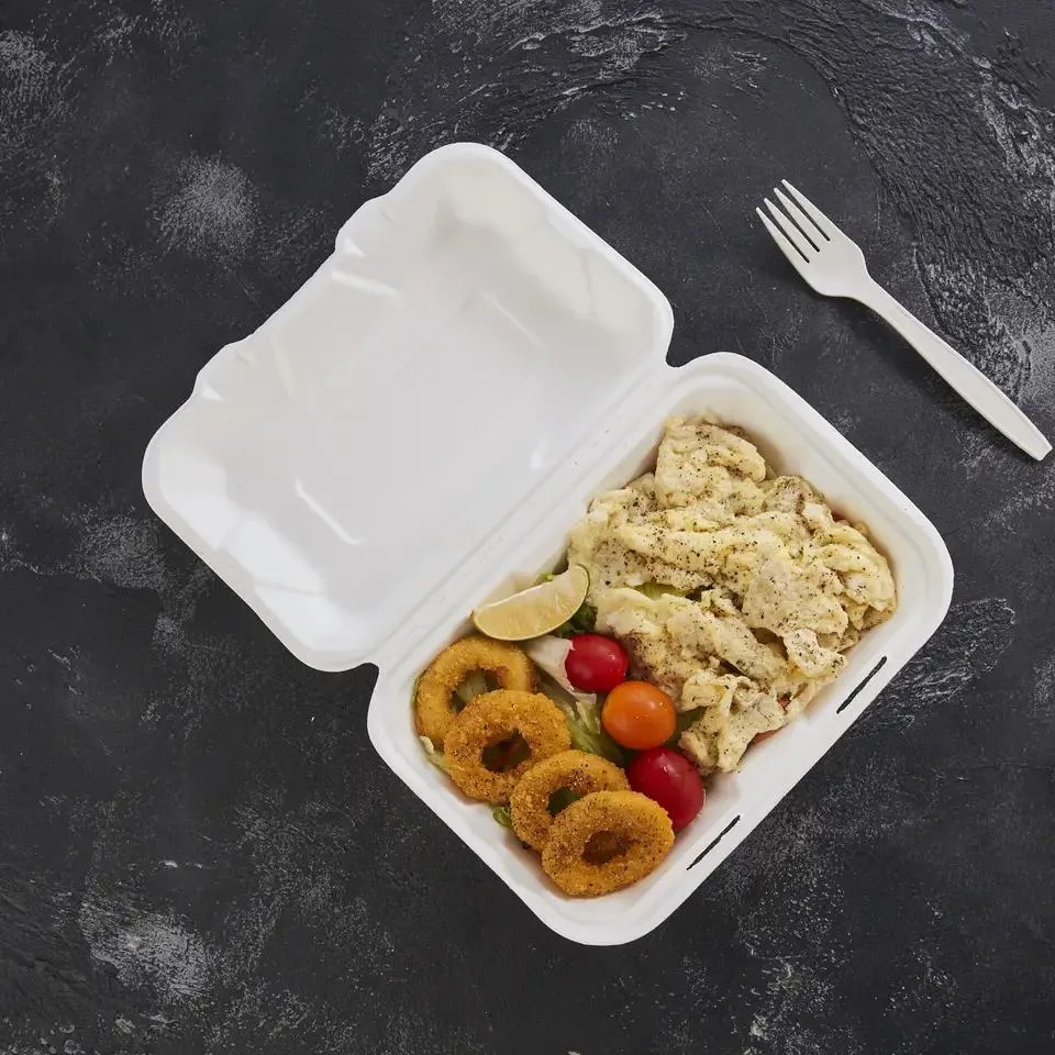 Biodegradable Sugarcane Paper Takeout Food Container Box Disposable Takeaway Luch Food Packaging