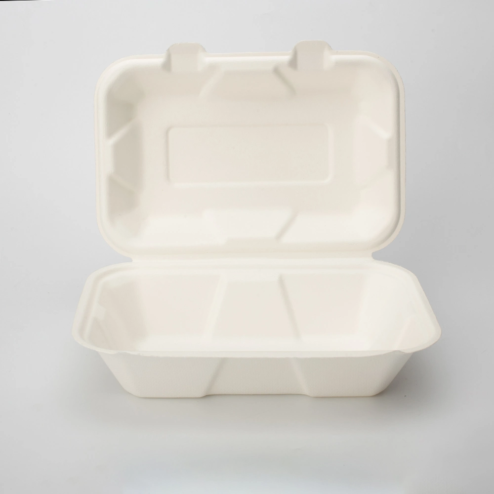 Biodegradable Sugarcane Paper Takeout Food Container Box Disposable Takeaway Luch Food Packaging