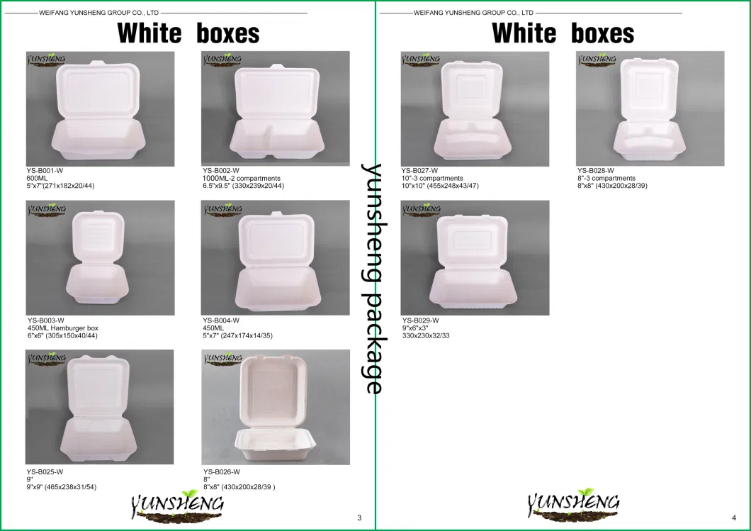 Disposable White Durable Square Clamshell Paper Box for Hamburger