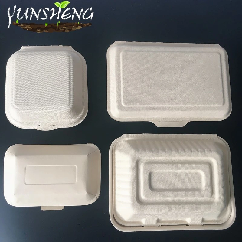 Disposable White Durable Square Clamshell Paper Box for Hamburger