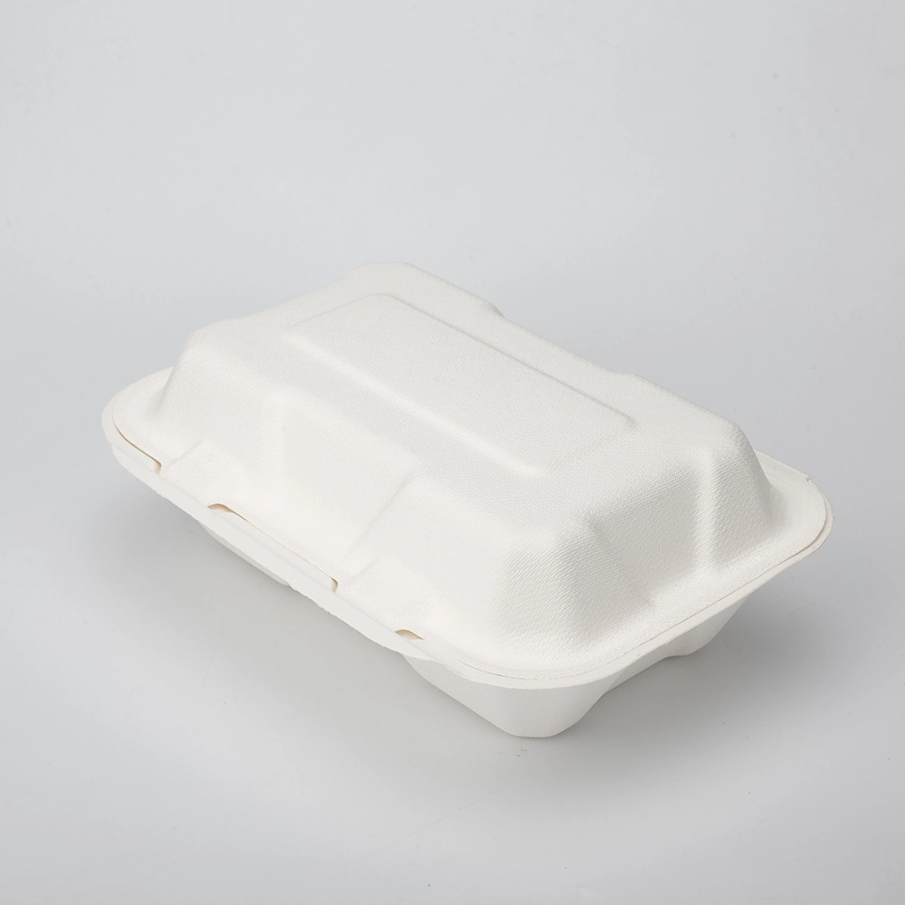 Biodegradable Sugarcane Paper Takeout Food Container Box Disposable Takeaway Luch Food Packaging