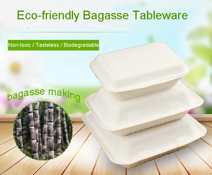 Daily Dinner Supplies Pure White Eco BPA Free Sugarcane Bagasse