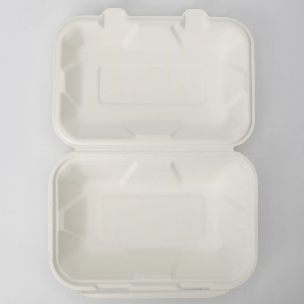 Biodegradable Sugarcane Paper Takeout Food Container Box Disposable Takeaway Luch Food Packaging