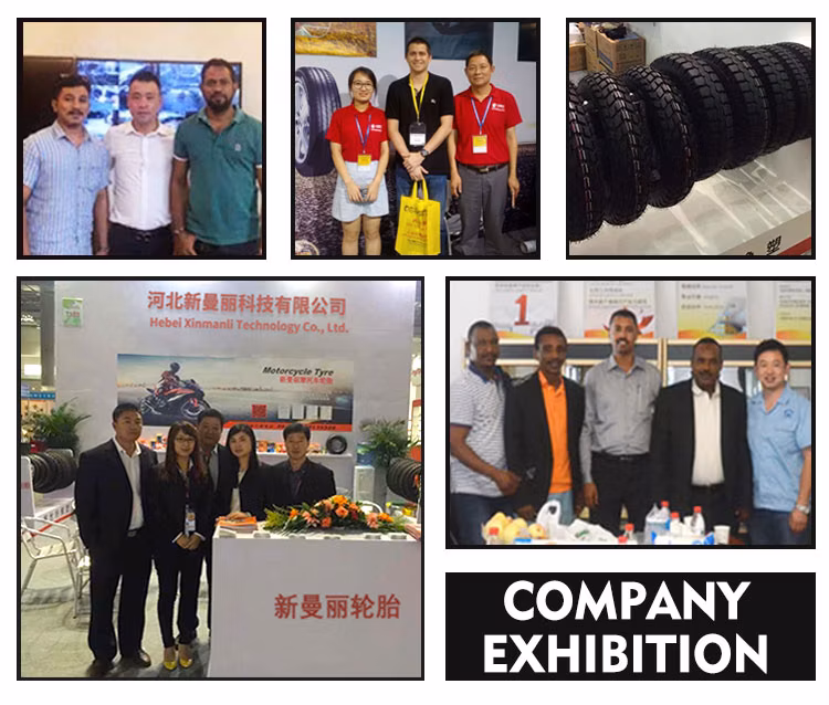 Heavy Duty Explosion-Proof Wear-Resistant Tricycle Tyre/ Motorcycle Tubeless Tyre/Tires/Tire/ (4.60-17)
