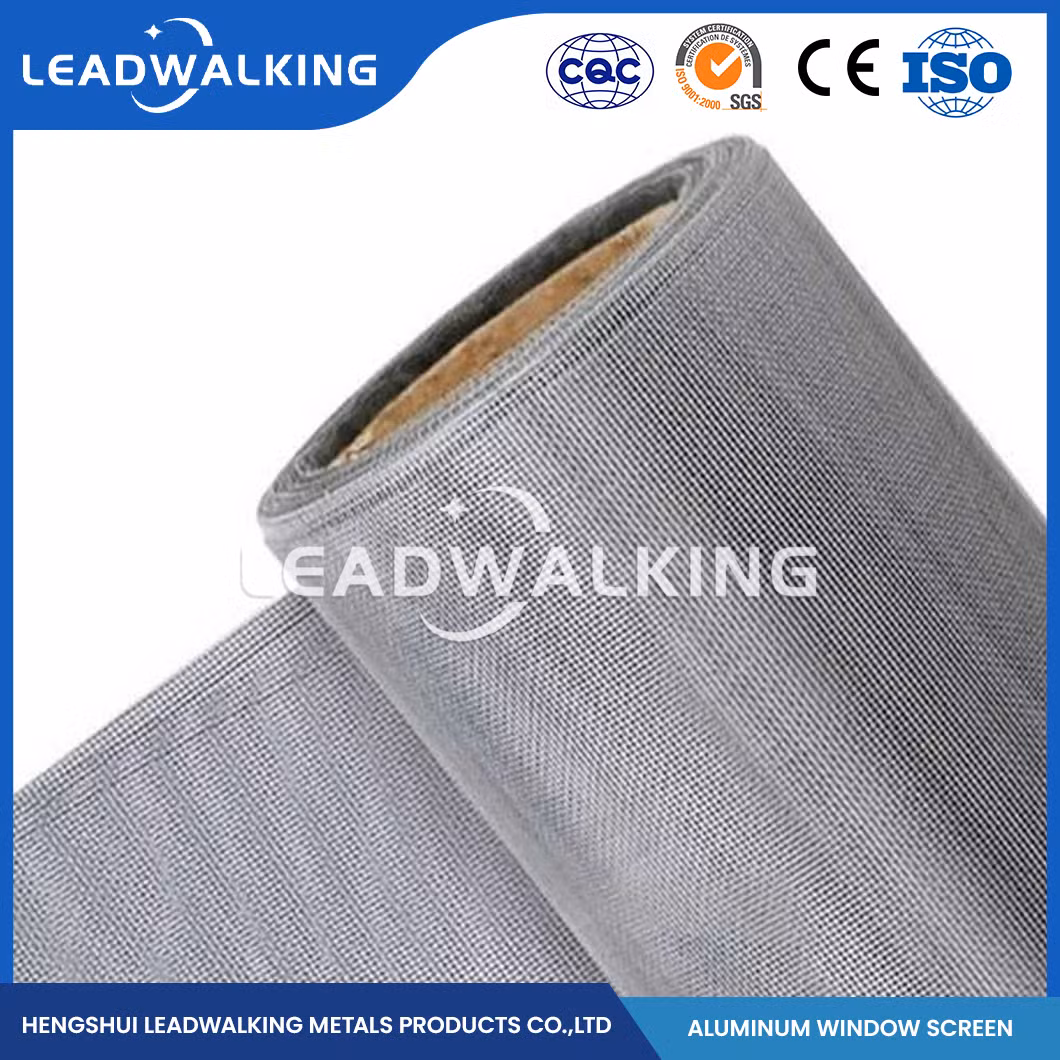 Leadwalking Stainless Steel Window Screen Mesh Good Aesthetics Aluminum Mesh Window Screen Factory High-Quality China 302 304 Aluminum Alloy Window Screen