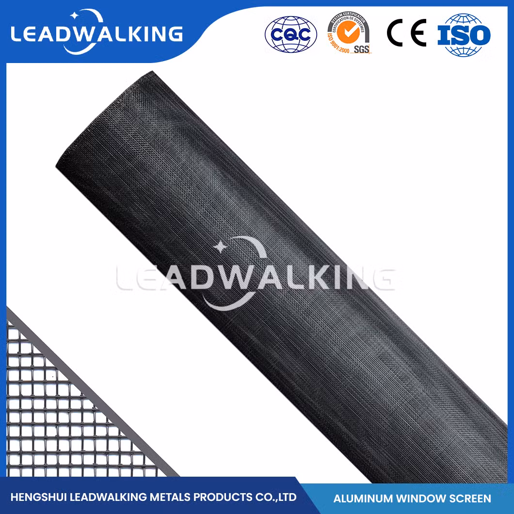 Leadwalking Stainless Steel Window Screen Mesh Good Aesthetics Aluminum Mesh Window Screen Factory High-Quality China 302 304 Aluminum Alloy Window Screen