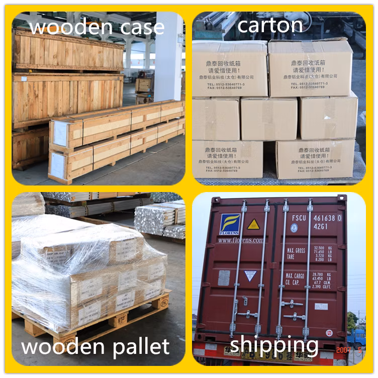 Professional Manufacturer Standard Aluminum Shapes Extruded