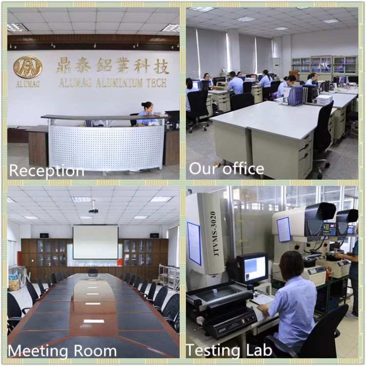 Professional Manufacturer Standard Aluminum Shapes Extruded
