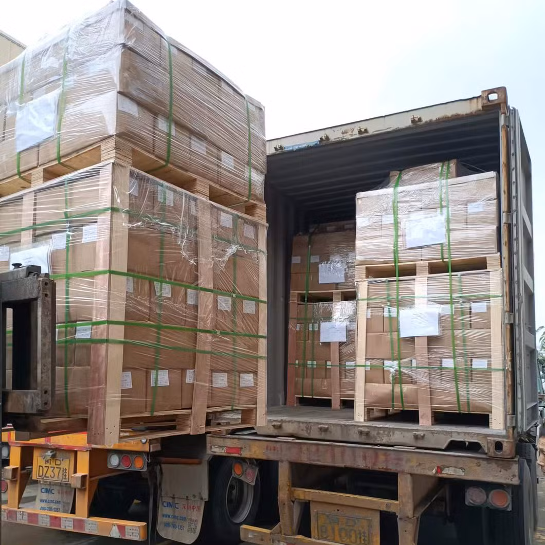 Panda Solar OEM Supplier Ex-Work Price Mg-Al-Zn Solar Ground Structure Chinese Manufacturer and High Strength Solar Panel Ground Mounting Frames