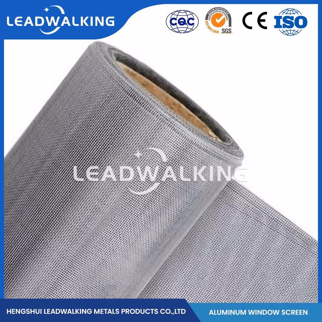 Leadwalking Stainless Steel Window Screen Mesh Good Aesthetics Aluminum Mesh Window Screen Factory High-Quality China 302 304 Aluminum Alloy Window Screen