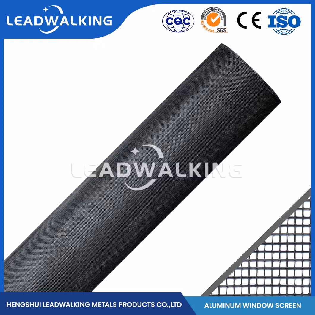 Leadwalking Stainless Steel Window Screen Mesh Good Aesthetics Aluminum Mesh Window Screen Factory High-Quality China 302 304 Aluminum Alloy Window Screen