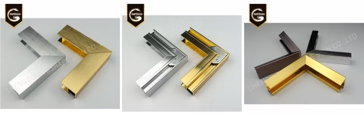 Godshape Display Aluminum Clip on Snap Frame Silver A0-A4