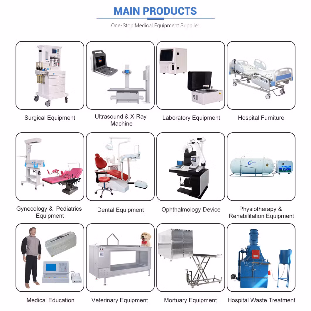 Digital Mobile Veterinary Medical Cardiology Ob Gyn USG Machine Color Doppler 3D 4D Ultrasound Machine Scanner with Printer