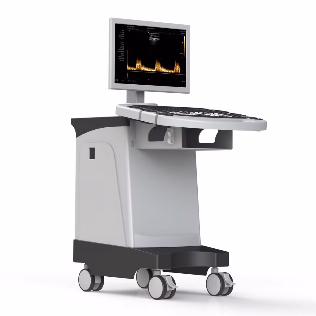Rayman Color Doppler Ultrasonic Machine 2D 3D Function Trolley Ultrasound Scanner