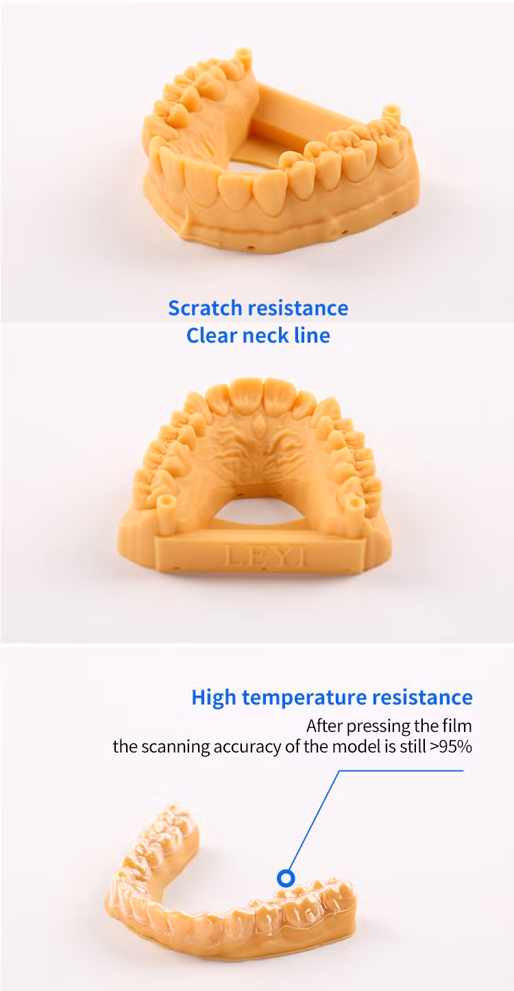Leyi Biocompatible 3D Print Dental Model Liquid Resin Orange 3D Printer UV Resin Dental for Clinic and Hospital Dental Model