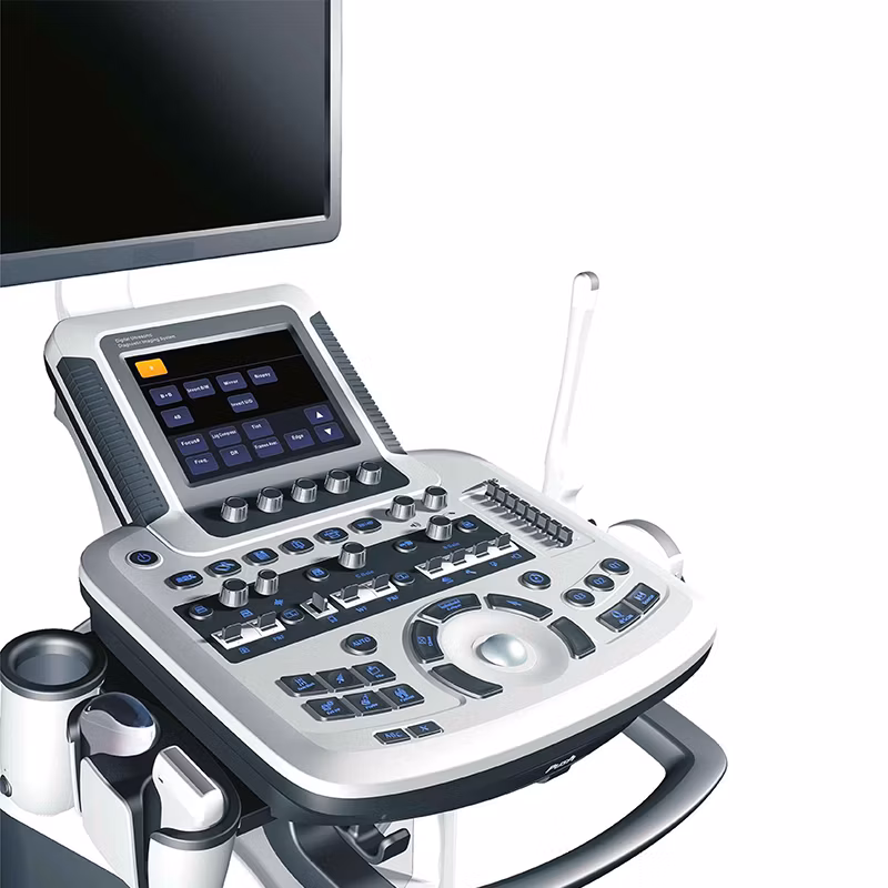Digital Mobile Veterinary Medical Cardiology Ob Gyn USG Machine Color Doppler 3D 4D Ultrasound Machine Scanner with Printer