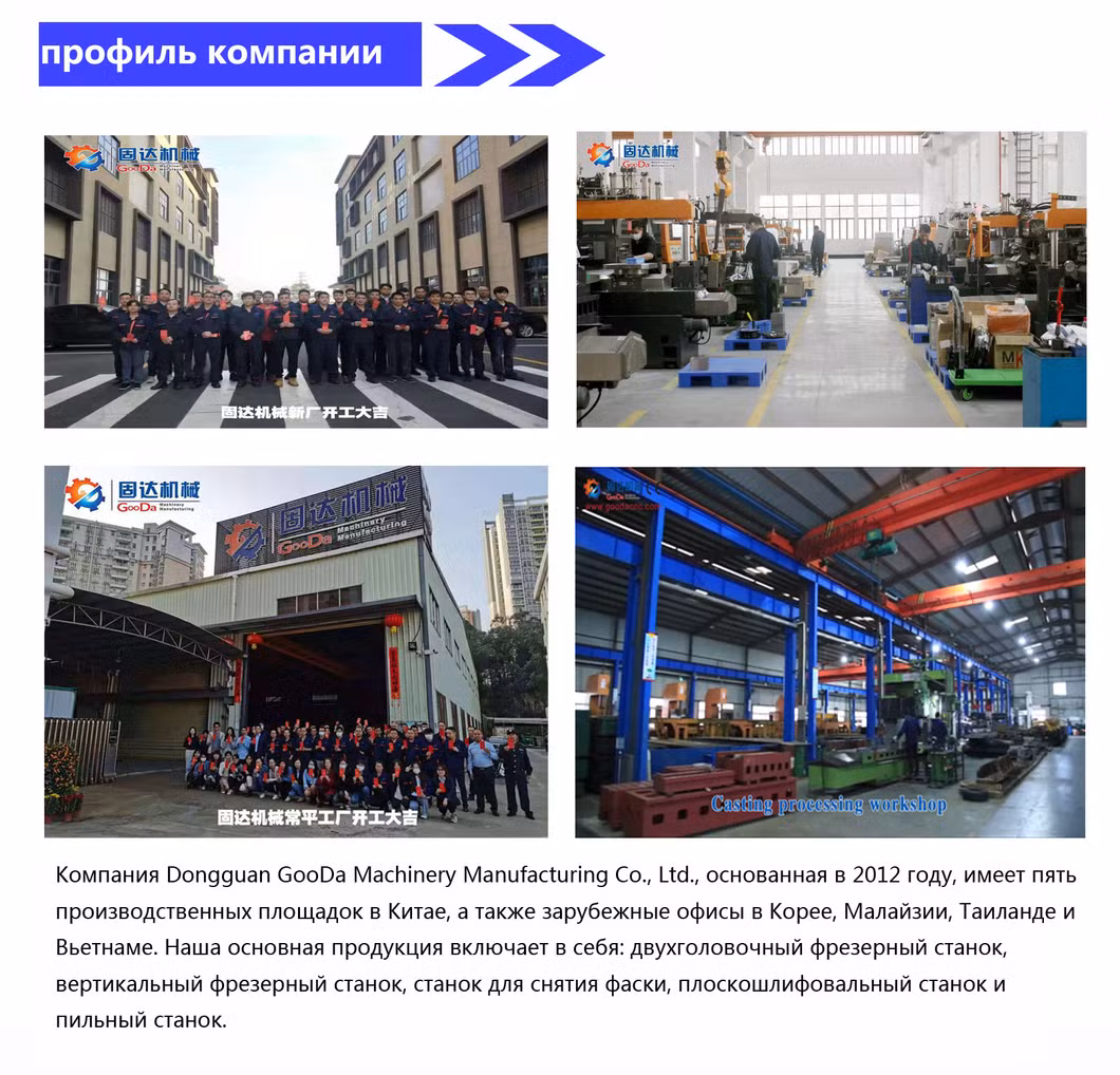 Ru New CNC Twin-Headed Milling Machine User-Friendly CNC Control Milling Instead Grinding with GS ISO9001 Quality Control Th-1200nca