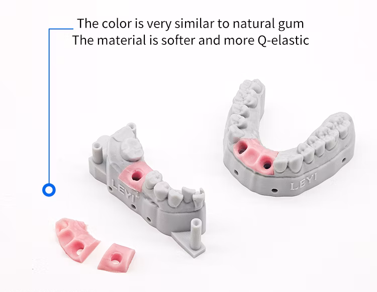 Leyi 1kg Elastic Resin UV 405nm Soft and Flexible Dental 3D Resin for DLP LCD Printer 3D Printing Resin Offer Free Samples