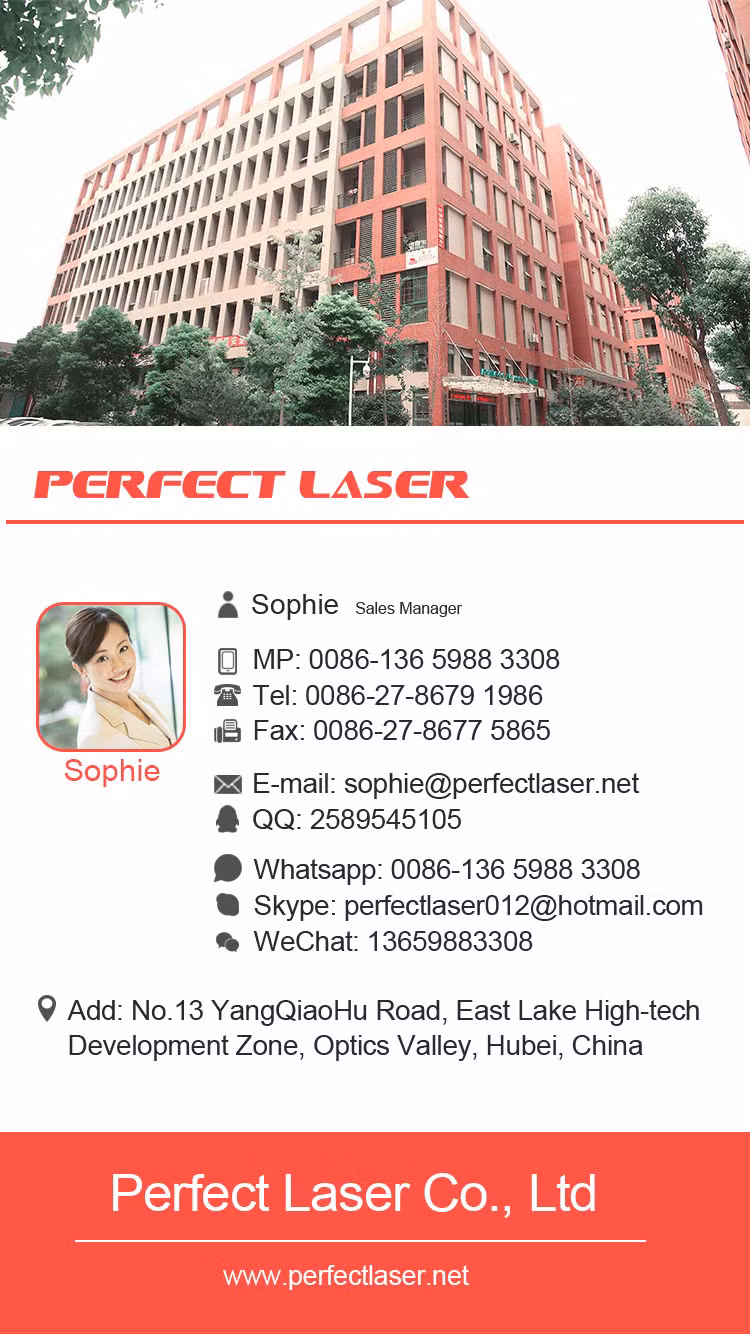 Perfect Laser-3D Vertical Wall/Glass/Metal/Wood/Paper/Ceramic Mural Art Direct Inkjet Printer Painter Spraying Printing Painting Machine Price