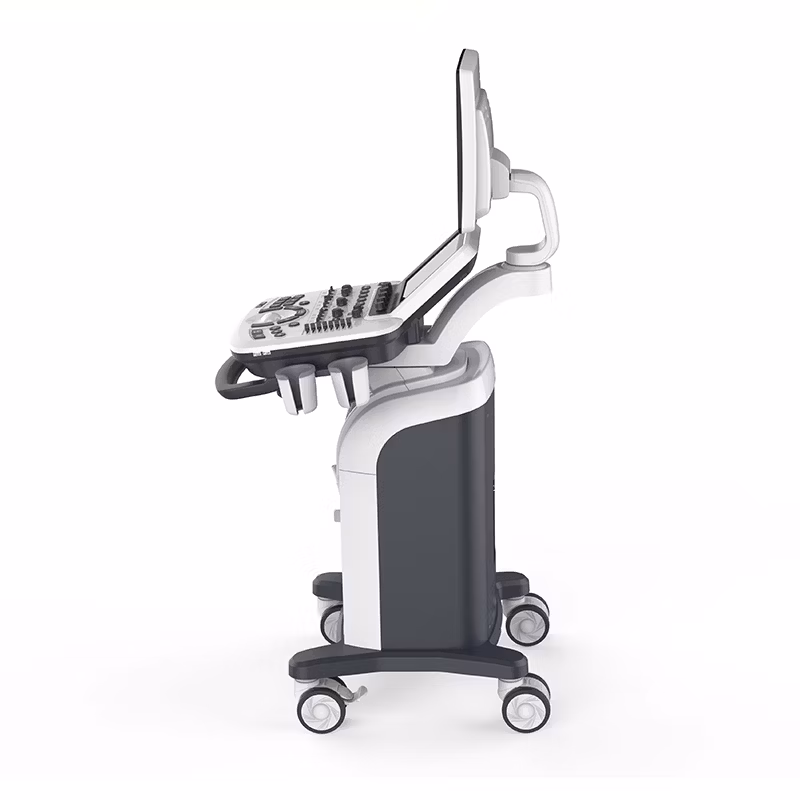 Digital Mobile Veterinary Medical Cardiology Ob Gyn USG Machine Color Doppler 3D 4D Ultrasound Machine Scanner with Printer