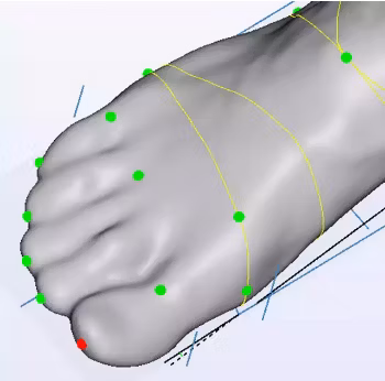 Portable Shoe Last Insole Making 3D Body Printer Scanner