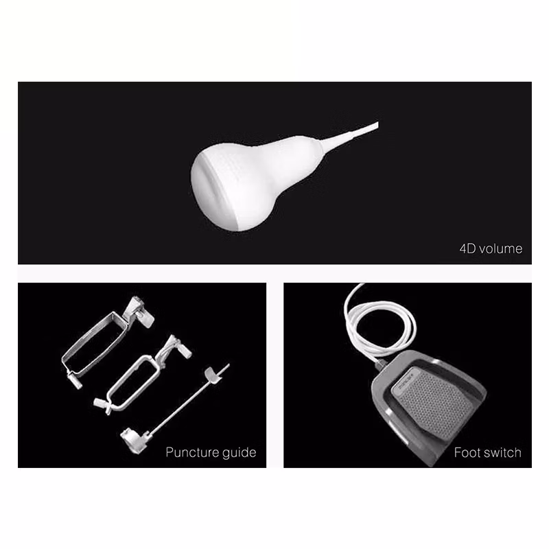 Digital Mobile Veterinary Medical Cardiology Ob Gyn USG Machine Color Doppler 3D 4D Ultrasound Machine Scanner with Printer