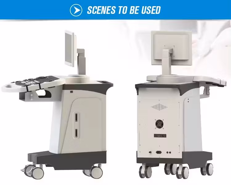 Rayman Color Doppler Ultrasonic Machine 2D 3D Function Trolley Ultrasound Scanner